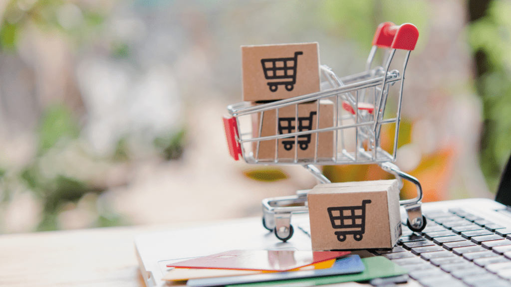 Online Shopping and E-commerce Evolution
