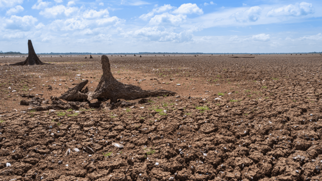 Role of Technology in Combating Climate Change