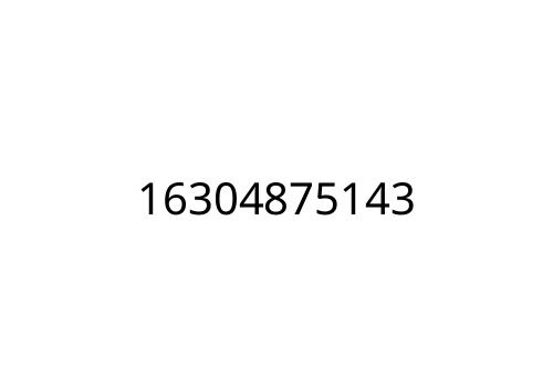 16304875143