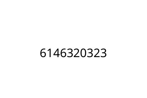 6146320323