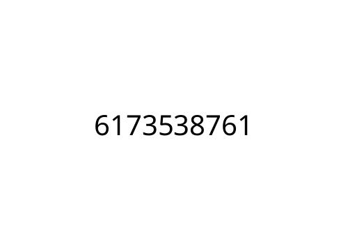 6173538761