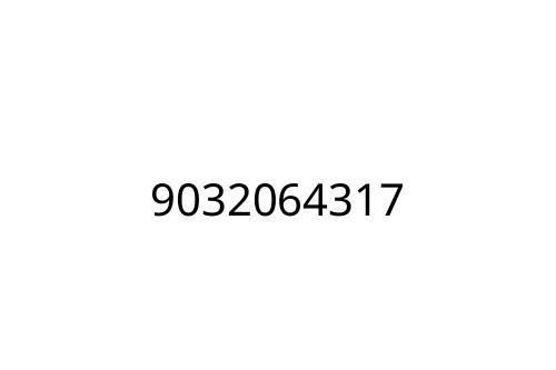 9032064317