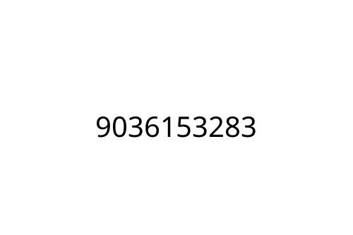 9036153283
