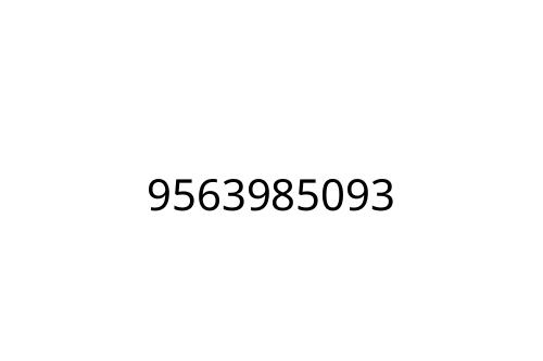 9563985093