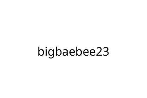 bigbaebee23