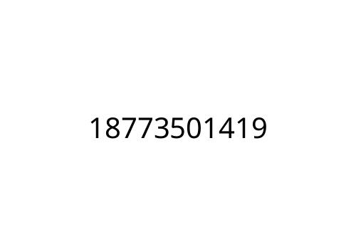 18773501419