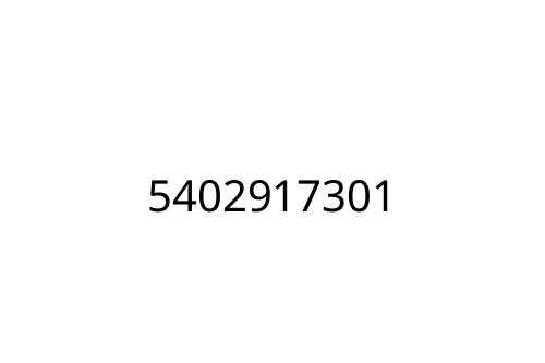 5402917301
