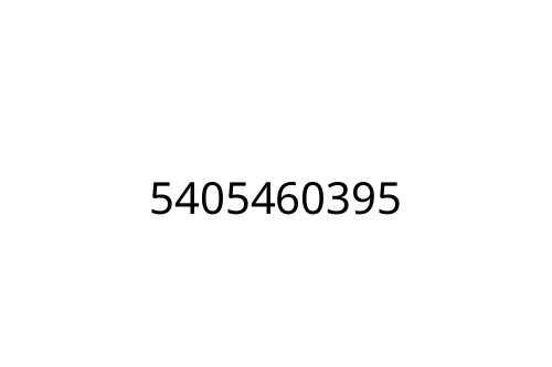 5405460395