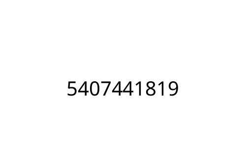 5407441819