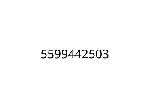 5599442503