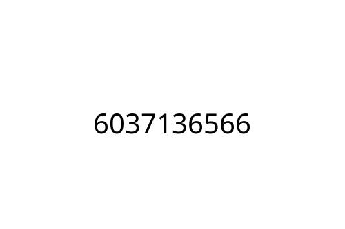 6037136566