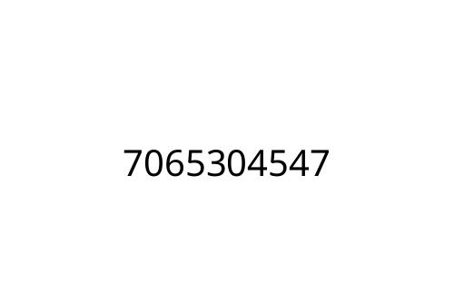 7065304547