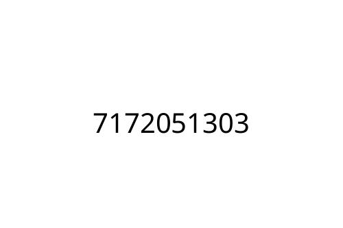 7172051303