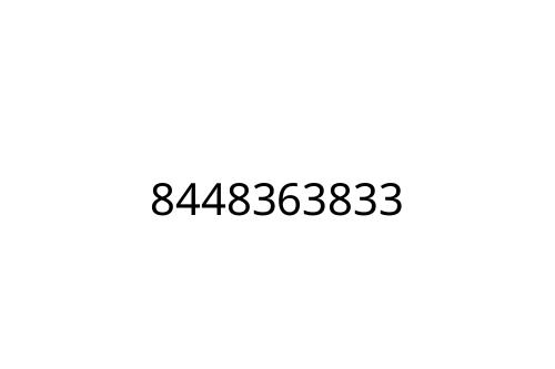 8448363833