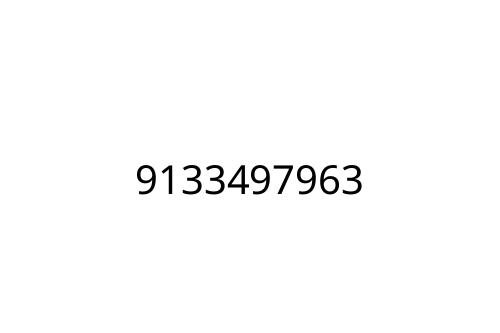 9133497963