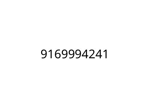 9169994241