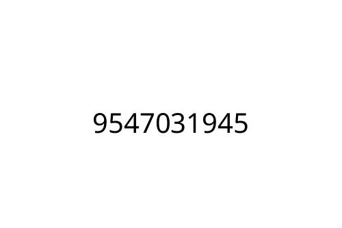9547031945
