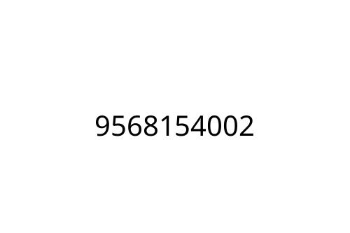 9568154002