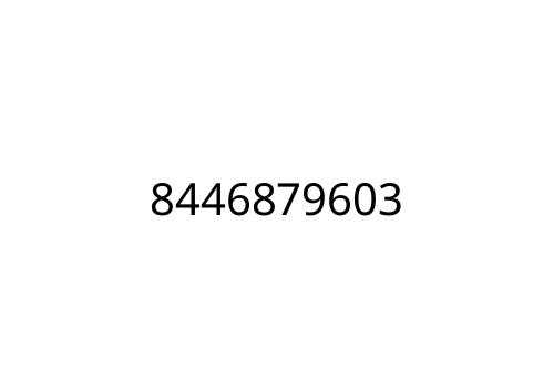 8446879603