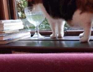 benefitboutiquedamen