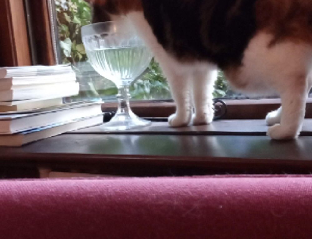 benefitboutiquedamen