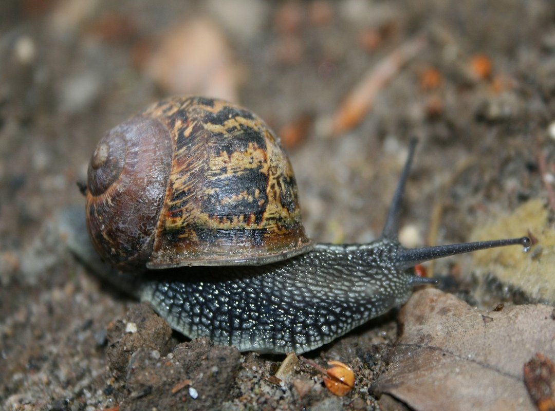 Investment Guide Wbinvestimize