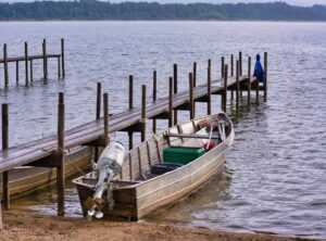 Investor Wbinvestimize