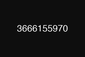 3666155970
