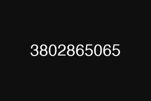 3802865065