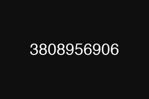 3808956906