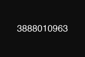 3888010963