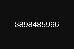 3898485996