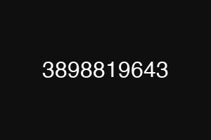 3898819643