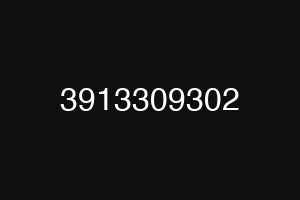 3913309302
