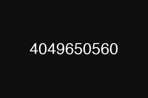 4049650560