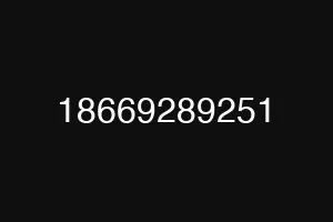 18669289251