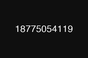 18775054119