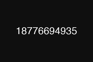 18776694935