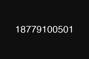 18779100501