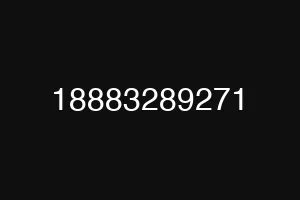 18883289271