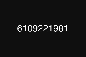 6109221981