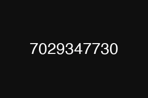 7029347730