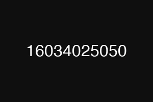 16034025050