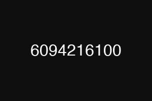 6094216100