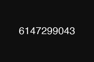 6147299043
