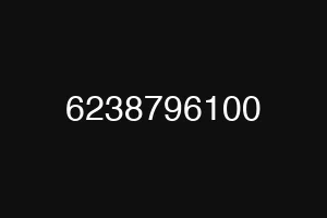 6238796100