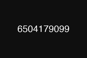 6504179099
