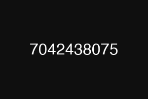 7042438075