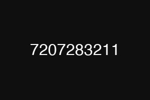 7207283211