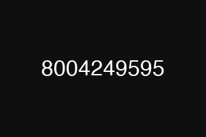 8004249595